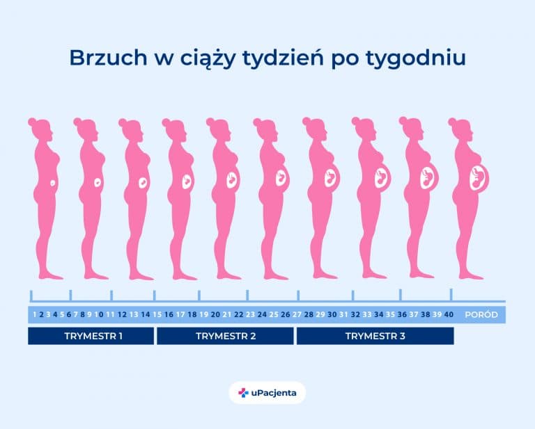 Kalendarz ciąży, czyli ciąża tydzień po tygodniu