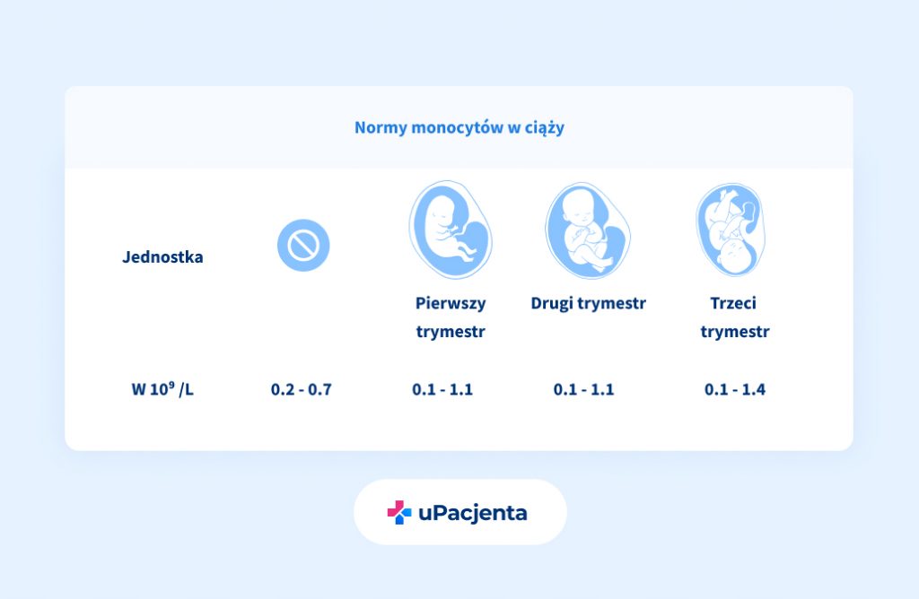 Normy monocytów w ciąży